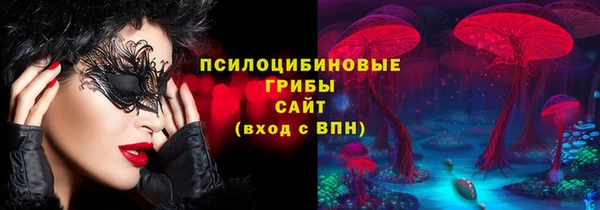 ешки Алзамай