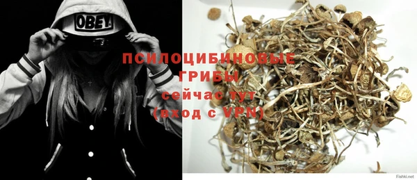 ПСИЛОЦИБИНОВЫЕ ГРИБЫ Алексеевка
