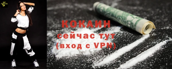тгк Алексин