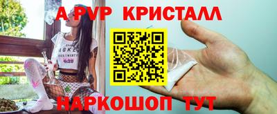 СК Краснодар