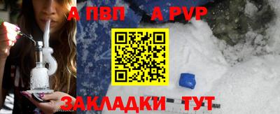 СК Краснознаменск